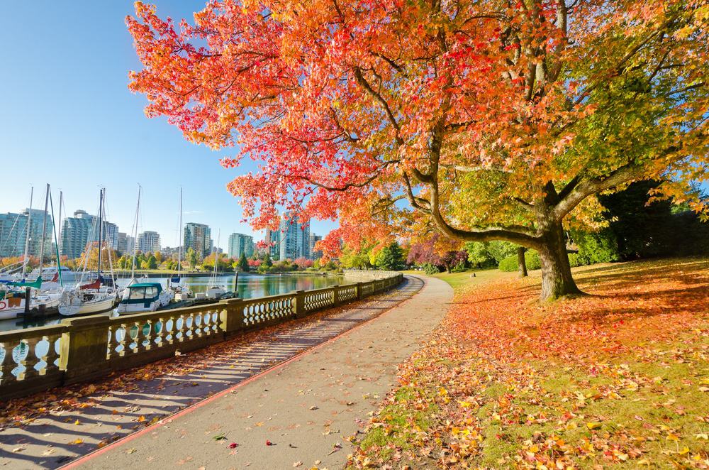 25 Best Things to Do in Vancouver (BC, Canada)
