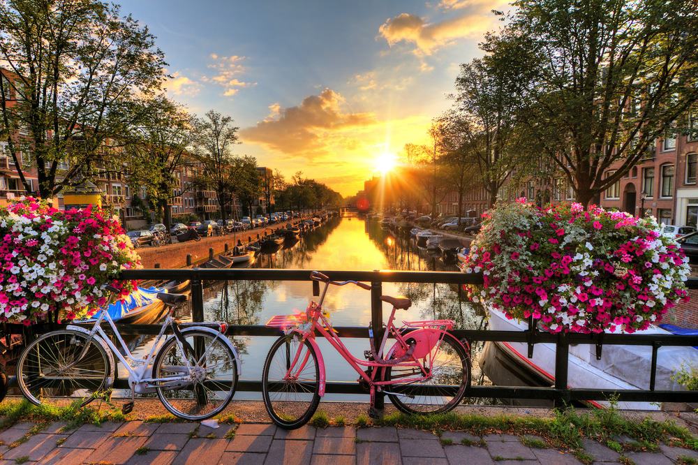 25 Best Things to Do in The Netherlands